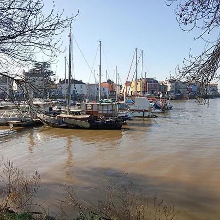Sur L'eau - Bateau Cosy A Nantes Rezé